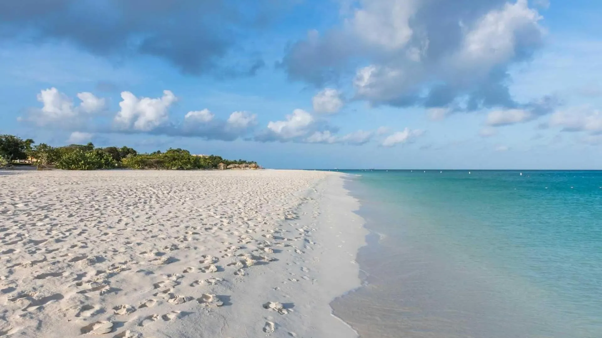 Beachfront - Paradise View 2Br Condo - A346 Palm Beach 0*,